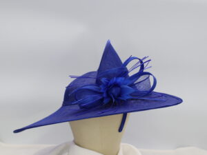 Royal Blue Hatinator