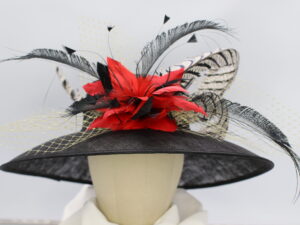 Black Hat with Pheasant Feathers